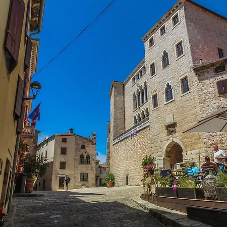 Chiara-center Of